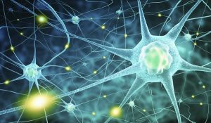 Nerve damage in neuropathy